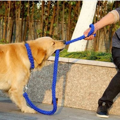 homme tire sur laisse pour chien que son chien tire aussi