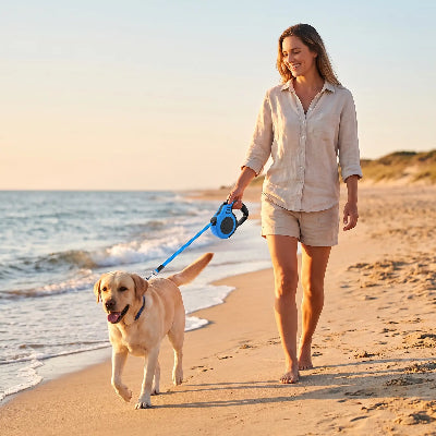 labrador portant laisse pour chien marche esur plage avec dame