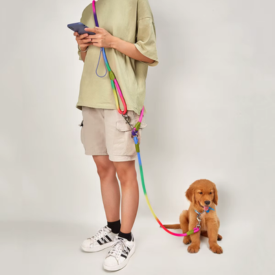 homme avec chiot en laisse pour chien freepup multi