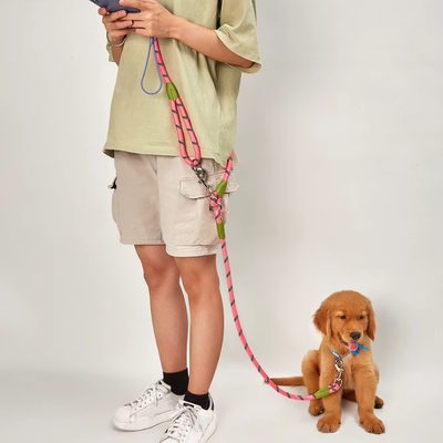 homme avec chiot en laisse pour chien freepup rose