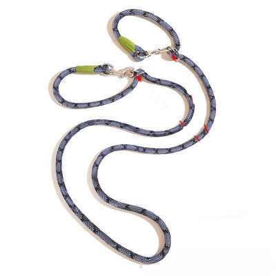 laisse pour chien variante grise