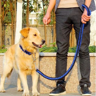 golden retriever debout avec homme tenu par laisse pour chien bleu et noir