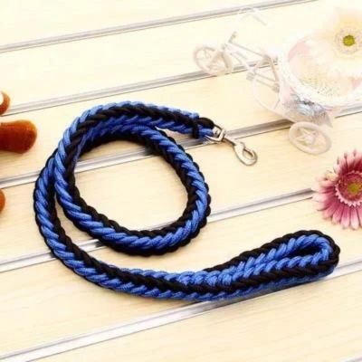 laisse pour chien variante noir et bleu