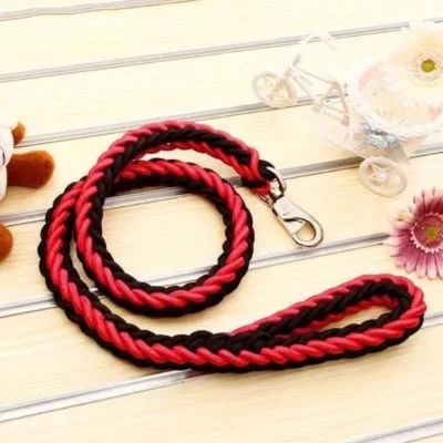laisse pour chien variante noire et rouge