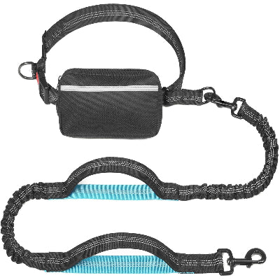 laisse pour chien variante noire