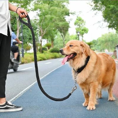 golden retriever dans la rue en laisse pour chien noire avec dame