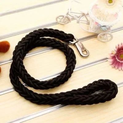 laisse pour chien variante noire
