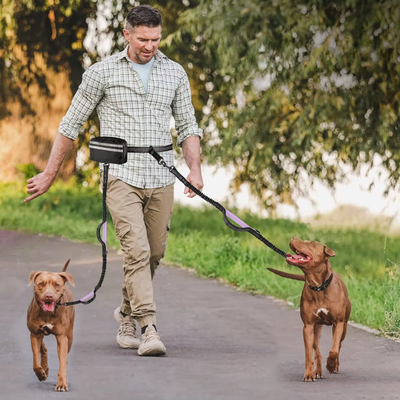 homme porte laisse pour chien poochie et marche avec 2 chiens bruns