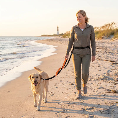 labrador portant laisse puppyropy marche sur plage avec dame
