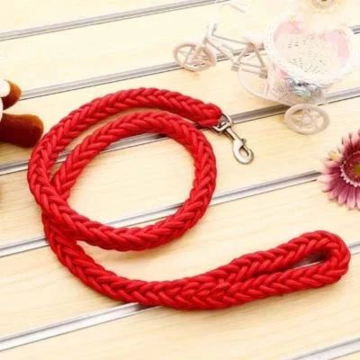 laisse pour chien variante rouge