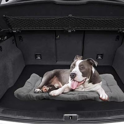 Lit de camp pour chien | Campo