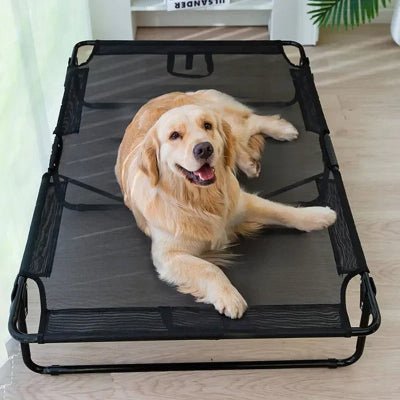 golden retriever couché sur grand danois couché sur lit de camp pour chiens dans maison
