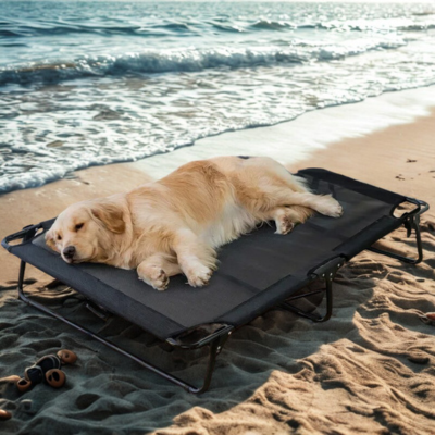 Lit de camp pour chiens | Campagnon