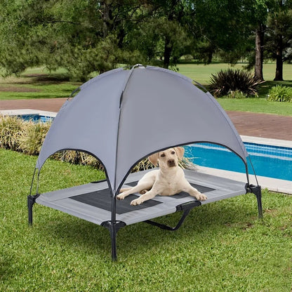 labrador couché sous dôme de lit de camp pour chiens près de piscine