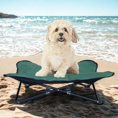 shitzu couche sur lit de camp pour chien sur plage