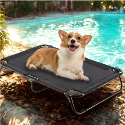 Lit de camp pour chiens | Campagnon