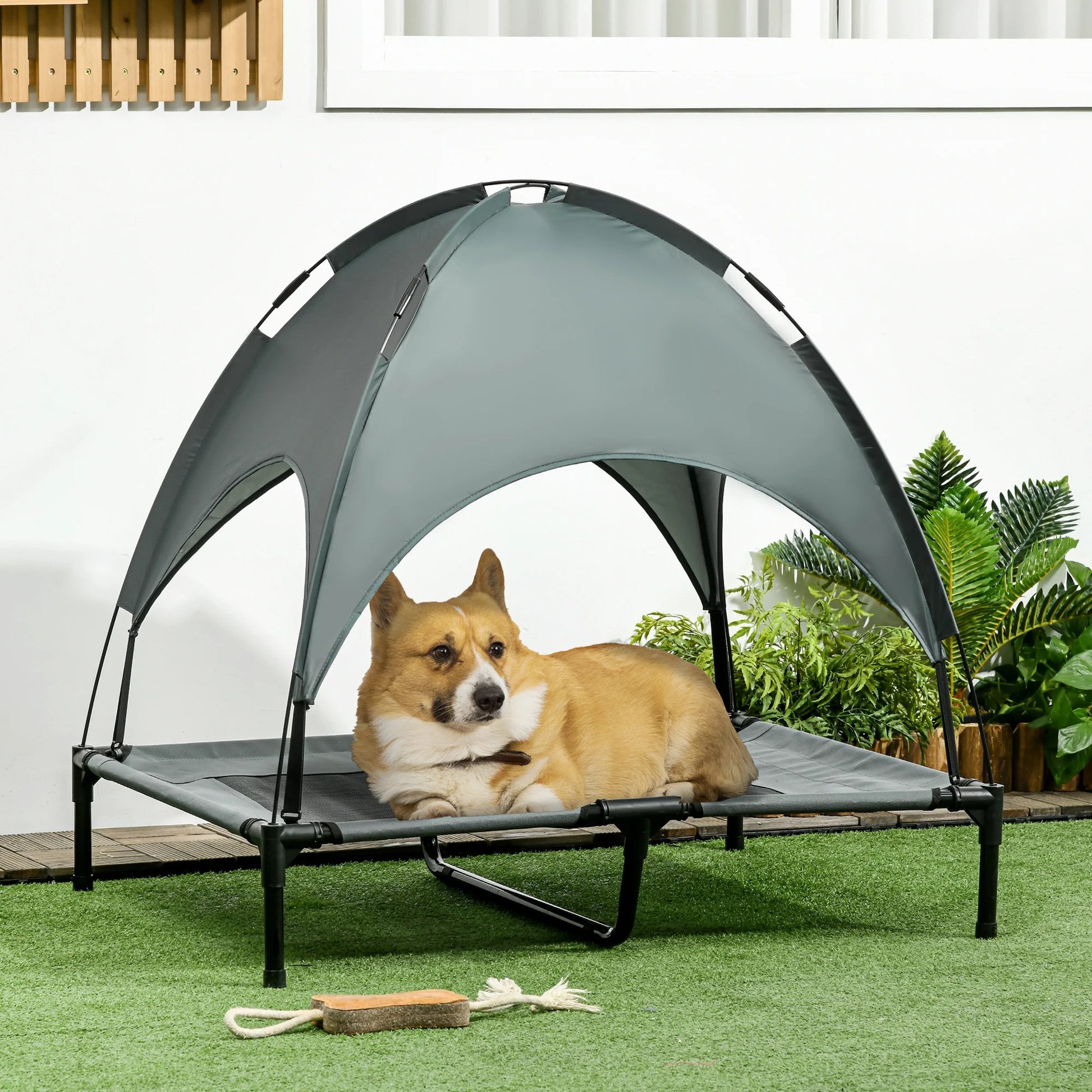 corgi couché sous dôme de lit de camp pour chiens près de la maison