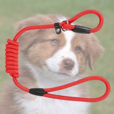 LONGE POUR CHIEN SLIPPY rouge