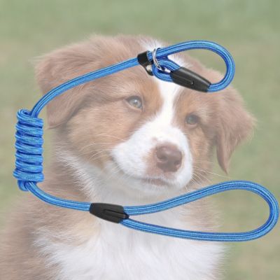 LONGE POUR CHIEN SLIPPY bleue