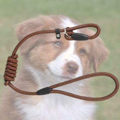 LONGE POUR CHIEN SLIPPY brune