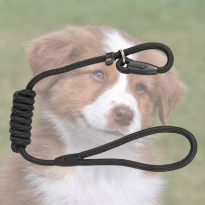 LONGE POUR CHIEN SLIPPY noire