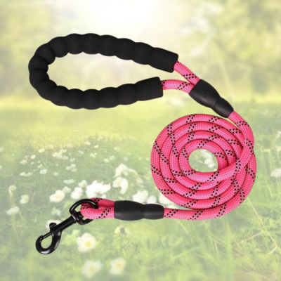 LONGE POUR CHIEN ROBUSTE