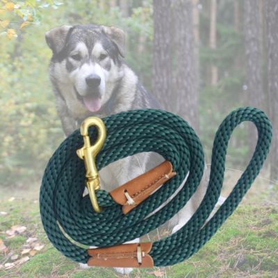 variante verte de longe pour chien avec malamute en arriere plan 