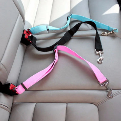 3 longe pour chien attachees dans voiture