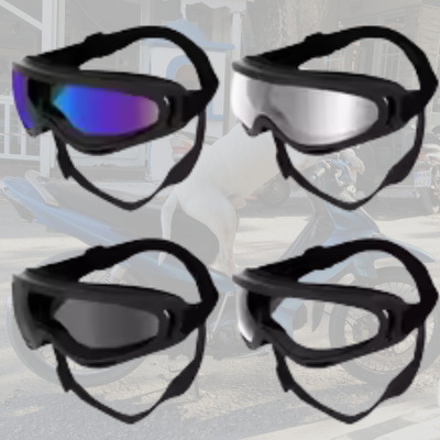Lunette chien moto | MotoTail
