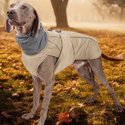 Manteau chien Pawparka