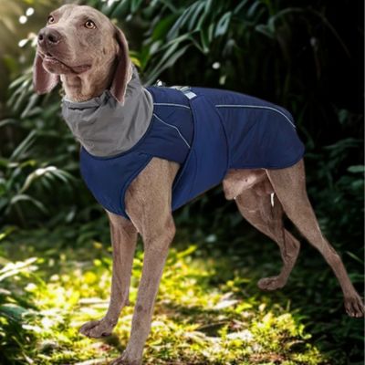 Manteau chien Pawparka