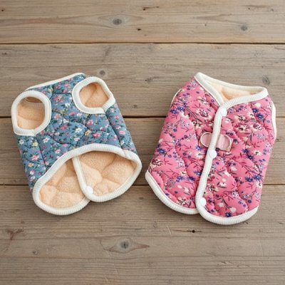 Manteau Chien en bleu et rose