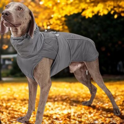 Manteau chien Pawparka