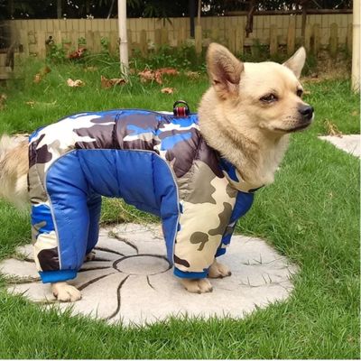 Manteau chien Puffhound