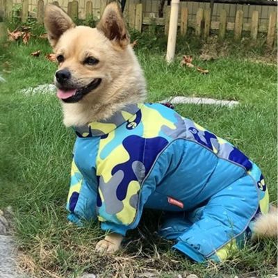 Manteau chien Puffhound