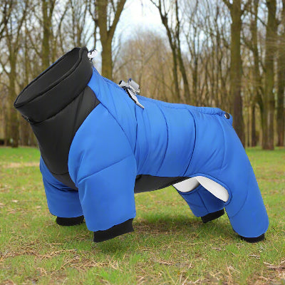 variante-bleue
