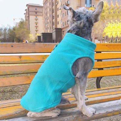 chien gris assis sur banc de parc avec manteau pour chien aqua