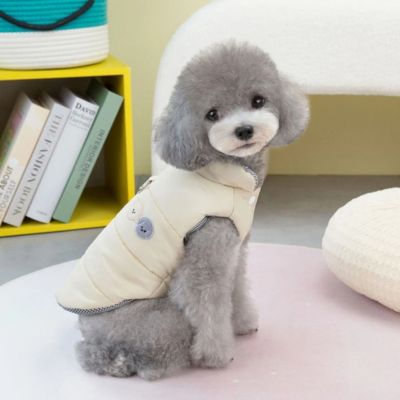 caniche gris assis sur divan blanc avec manteau pour chien khaki