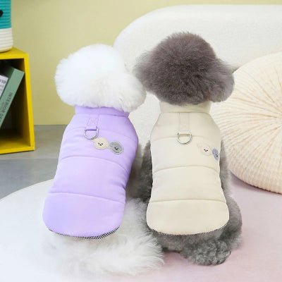 2 caniches assis ensemble sur divan blanc porte manteau pour chien