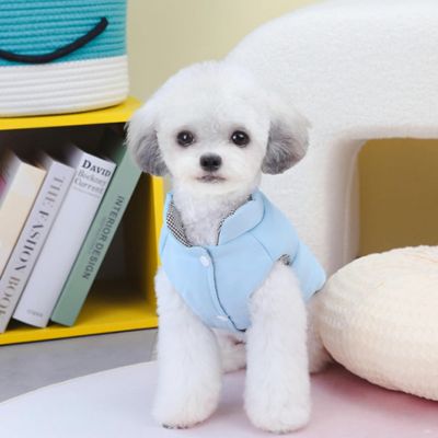 caniche blanc et gris assis sur divan blanc avec manteau pour chien bleu