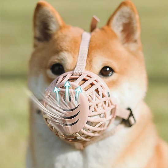 shiba inu porte Muselière pour chien rose
