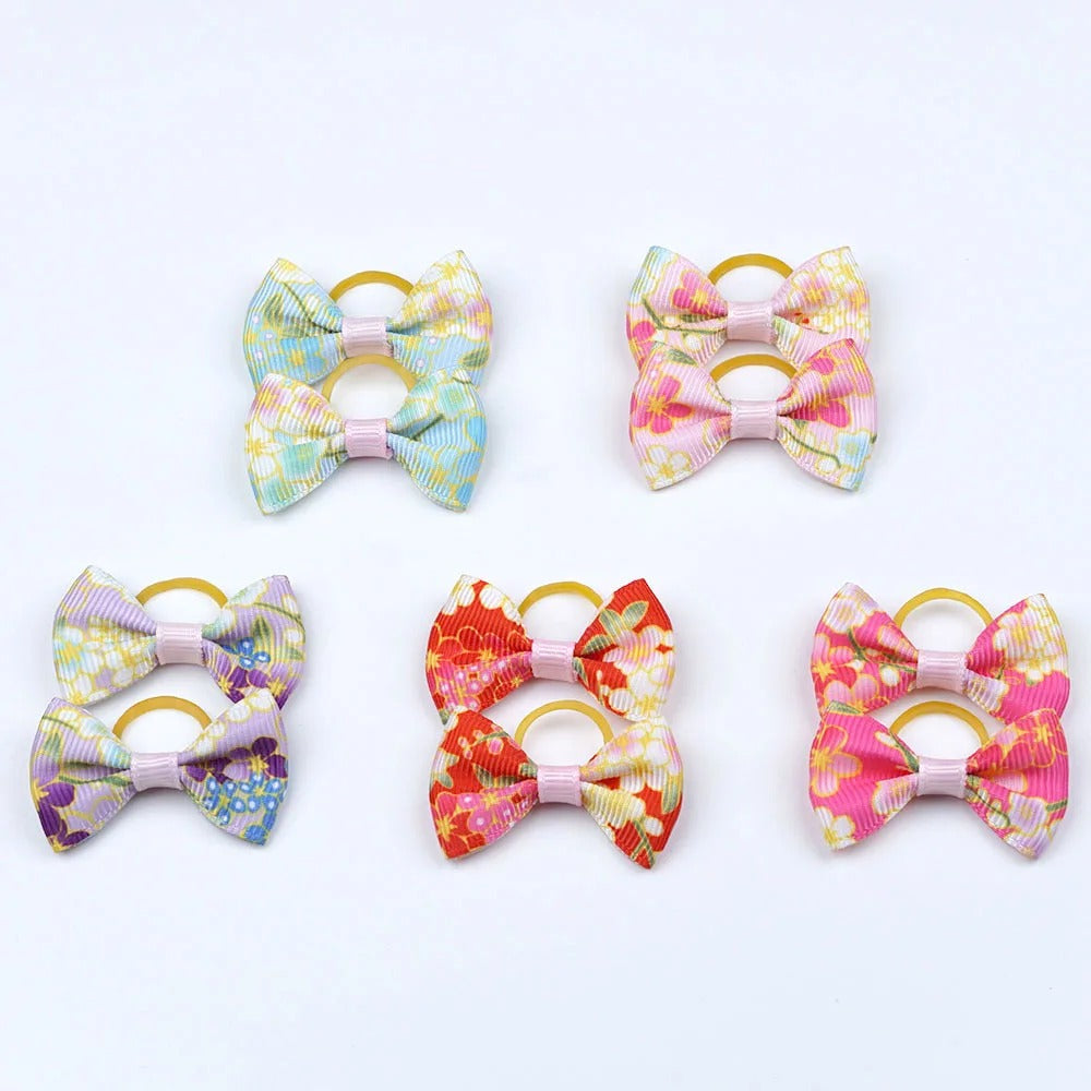 noeud papillon chien floral