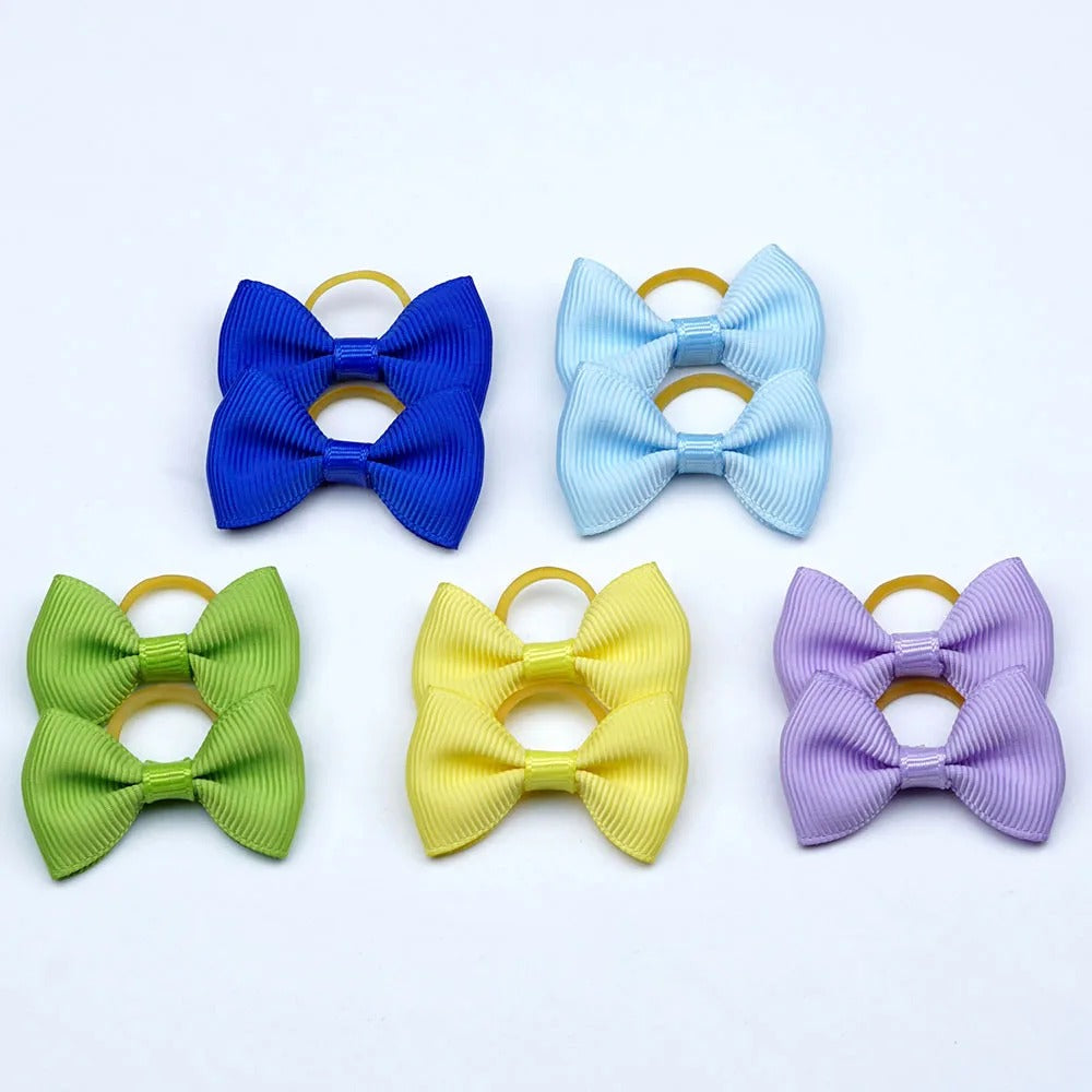 noeud papillon chien uni