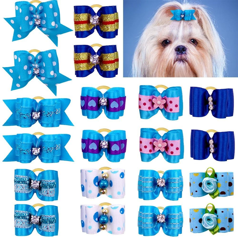 noeud papillon pour chien bleu