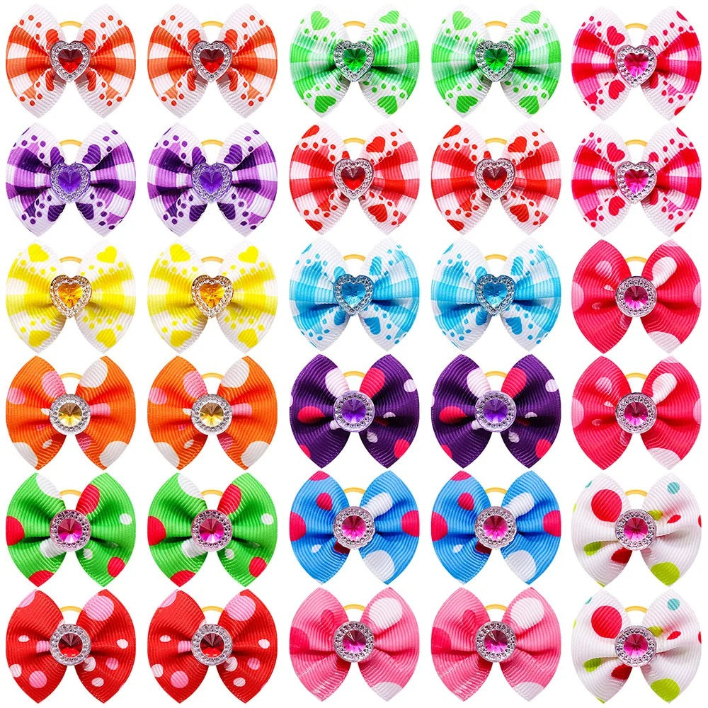 noeud papillon pour chien festif