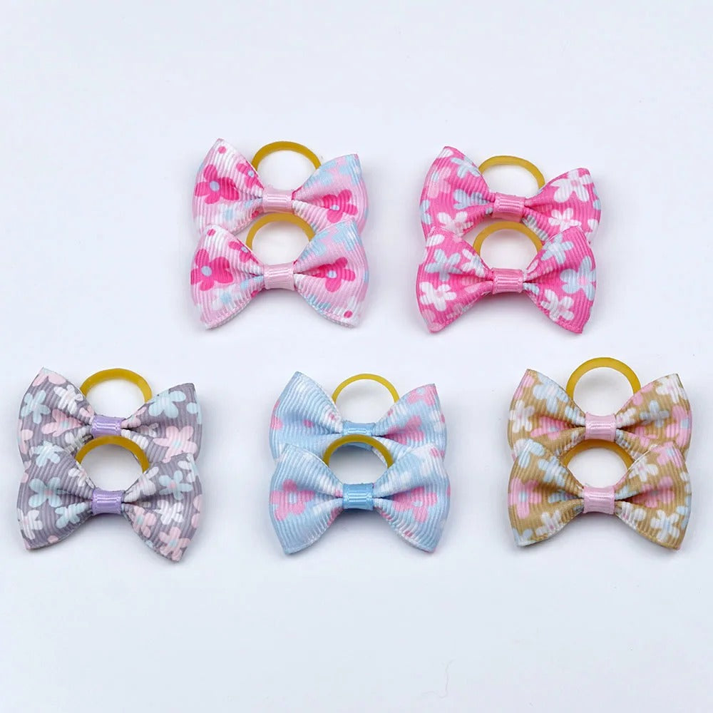 noeud papillon pour chien pastel