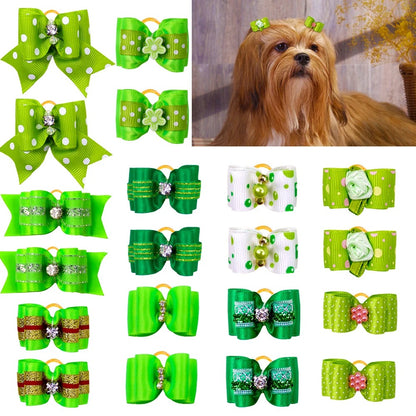 noeud papillon pour chien vert