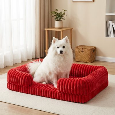 chien blanc dans Panier orthopédique Chien