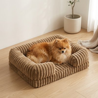 poméranien dans Panier orthopédique Chien 