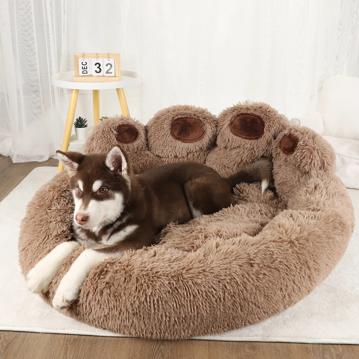 husky couché dans panier pour chien rose près de canapé